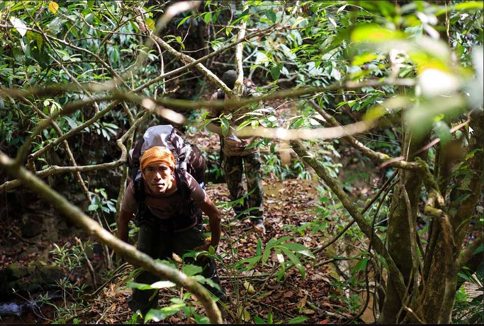 2 jours / 1 nuit dans la jungle de Khao Sok KSJ2-T (KSD)