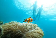 Full Day Raya Yai Snorkeling Safari From Phuket (RYD)