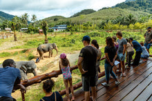 Full Day Khaosok with Elephant Bathing from Khao Lak (KLD)