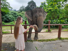 Half Day Elephant Nature From Phuket (BEP)