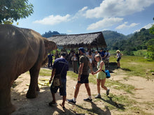 Half Day Mini Elephant Nature From Phuket (BEP)
