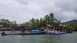 Full Day Phang Nga Discovery from Krabi (DSTH)