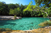 Half Day Jungle Expedition from Krabi (Hot Springs, Emerald Pool, Lunch) (DSTH)