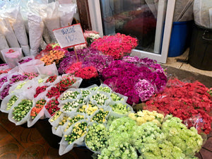 Half Day Bangkok Canals Tour with Flower Market (DSTH)