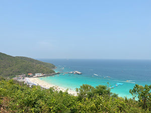 Full Day Pattaya Panoramic and Coral Island (DSTH)
