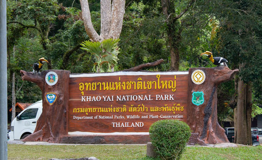 Full Day Trekking and Hiking at Khao Yai National Park