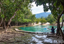 Half Day Jungle Expedition From Krabi (DSTH)