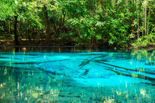 Half Day Jungle Expedition from Krabi (Hot Springs, Emerald Pool, Lunch) (DSTH)