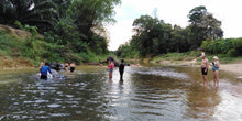 Full Day Khaosok with Elephant Bathing from Khao Lak (KLD)