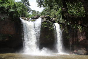 Full Day Trekking and Hiking at Khao Yai National Park