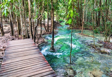 Half Day Jungle Expedition From Krabi (DSTH)