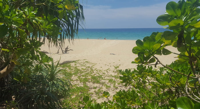 ทริปครึ่งวัน ล่องเรือเลียบชายฝั่งและหาดลับ พร้อมอาหารกลางวัน จากเขาหลัก (DCT)