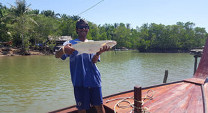 Half Day Mangrove Fishing and Relaxing Adventure from Khao Lak (DCT)