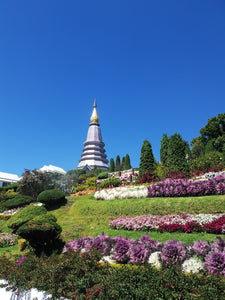 Full Day Doi Inthanon National Park from Chiang Mai (F&F)