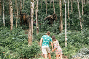 Half Day Elephant Encounter From Phuket (PEC)