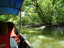 Full Day Mangrove Forest Conservation Centre with lunch (DSTH)
