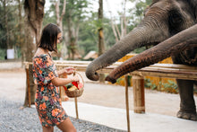 Half Day Elephant Encounter From Phuket (PEC)