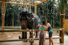 Half Day Elephant Encounter From Phuket (PEC)