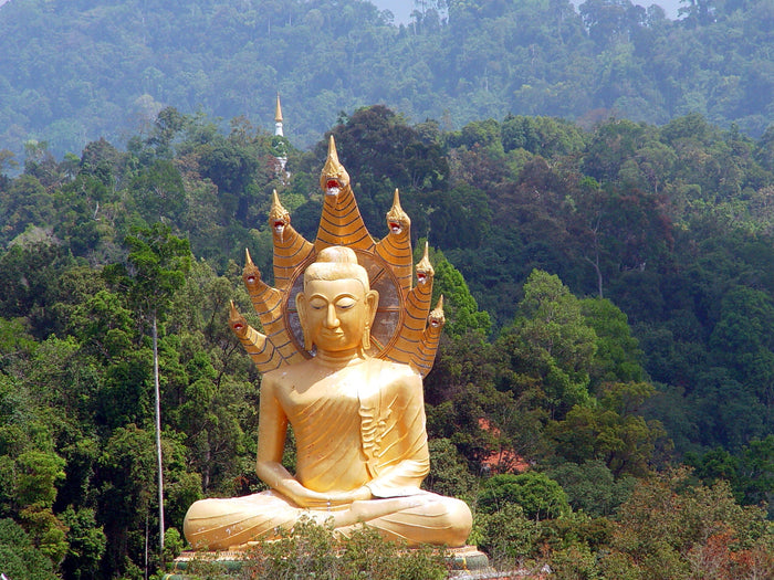 Full Day Amazing 3 Temples Tour from Khao Lak (KLD)