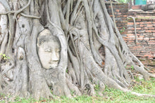 Full Day Discover Ancient Ayutthaya by Coach & Cruise (Grand Pearl)
