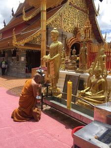 Half Day Doi Suthep Temple with Meo Doi Pui From Chiang Mai - AM tour (F&F)