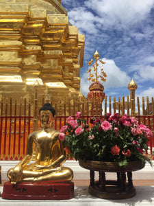 Half Day Doi Suthep Temple with Meo Doi Pui From Chiang Mai - AM tour (F&F)