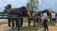 Full day Pattaya Elefriend Program from Bangkok