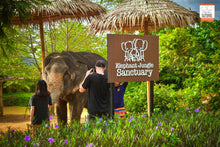 Feed Me Program at Elephant Jungle Sanctuary - Ticket Only, No Transfer (EJS)