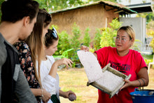 Full Day Pattaya Elephant Jungle Sanctuary From Bangkok