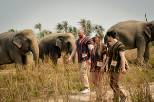Full Day Pattaya Elephant Jungle Sanctuary From Bangkok