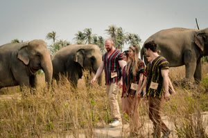 Half Day Pattaya Elephant Jungle Sanctuary