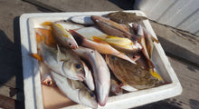 Half Day Mangrove Fishing and Relaxing Adventure from Khao Lak (DCT)