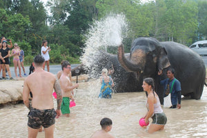 Half Day Elephant Experience From Phuket (GES)