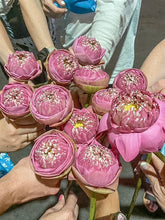 Midnight Food Tour by Tuk Tuk (NAV)