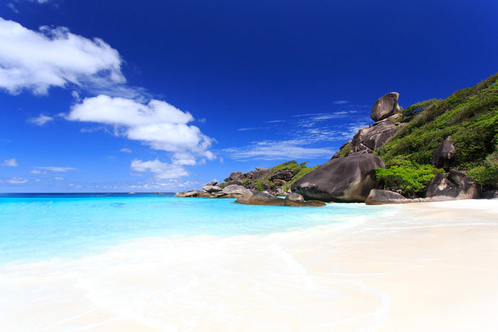 ทริปเต็มวัน หมู่เกาะสิมิลัน โดยเรือสปีดคาตามารัน จากภูเก็ต (SWN)