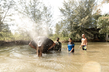 Half Day Elephant Bathing at Welfare Center - No Meal From Khao Lak (KLD)