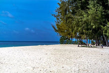 Full-day Phi Phi and Bamboo Islands tour by catamaran from Phuket (DSTH)
