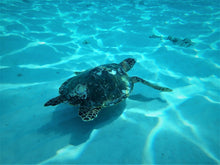 Full Day Similan Islands by Speedboat from Phuket (SAW)