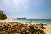 Full Day Phi Phi and Bamboo Island by Speedboat from Phuket (DSTH)