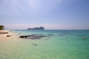 Full Day Phi Phi and Bamboo Island by Speedboat from Phuket (DSTH)