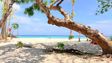 Full-day Phi Phi and Bamboo Islands tour by catamaran from Phuket (DSTH)