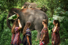 Half Day Watch Me At Elephant Jungle Sanctuary From Phuket (EJS)