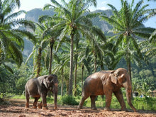 Half Day Mini Moments From Krabi (RES)