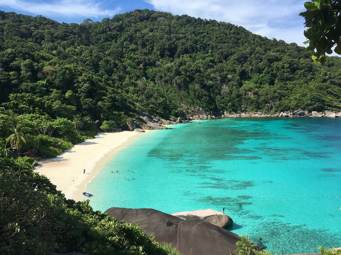 ทริปเต็มวัน หมู่เกาะสิมิลัน โดยเรือสปีดโบ๊ท จากเขาหลัก (SAW)