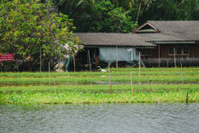 Half Day Donwai Market and Boat Trip (DSTH)