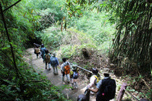 Full Day Trekking and Hiking at Khao Yai National Park