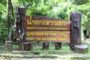 Full Day Trekking and Hiking at Khao Yai National Park
