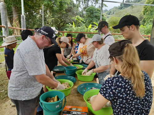 Half Day Elephant Walk And Feed From Phuket (BEP)