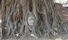 Full Day Ayutthaya Ancient City - Go by Road Return by Road (DSTH)