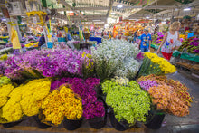 Half Day Bangkok in Focus Culture & Instagrammable Moments&nbsp (DSTH)